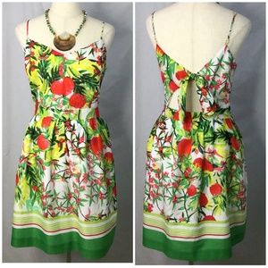 Crown & Ivy Fit & Flare Cotton Sundress Size 14